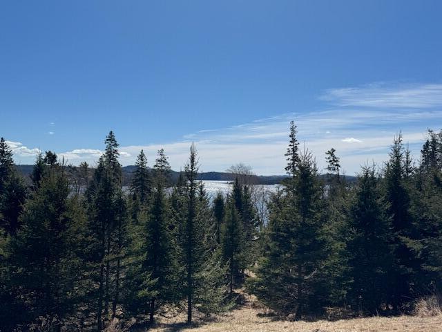 M17 L15 Battle Avenue Castine ME 04421