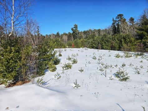 Lot # 39-6 Belgrade Estates Drive Belgrade ME 04917