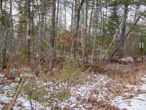 Lot 28-1-a Saco Road Standish ME 04084