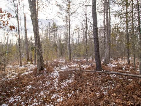 Lot 28-1-a Saco Road Standish ME 04084