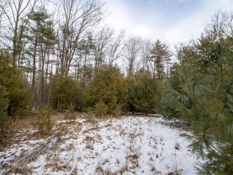 Lot 28-1-a Saco Road Standish ME 04084