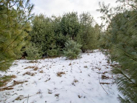 Lot 28-1-a Saco Road Standish ME 04084