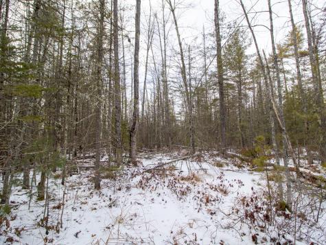 Lot 28-1-a Saco Road Standish ME 04084
