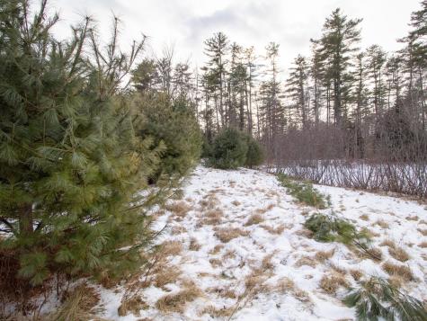 Lot 28-1-a Saco Road Standish ME 04084