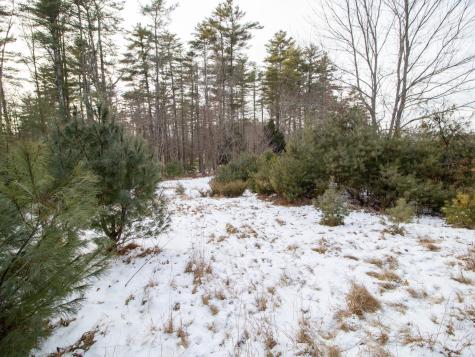 Lot 28-1-a Saco Road Standish ME 04084