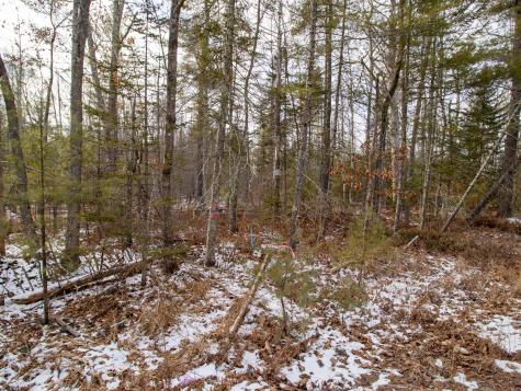 Lot 28-1-a Saco Road Standish ME 04084
