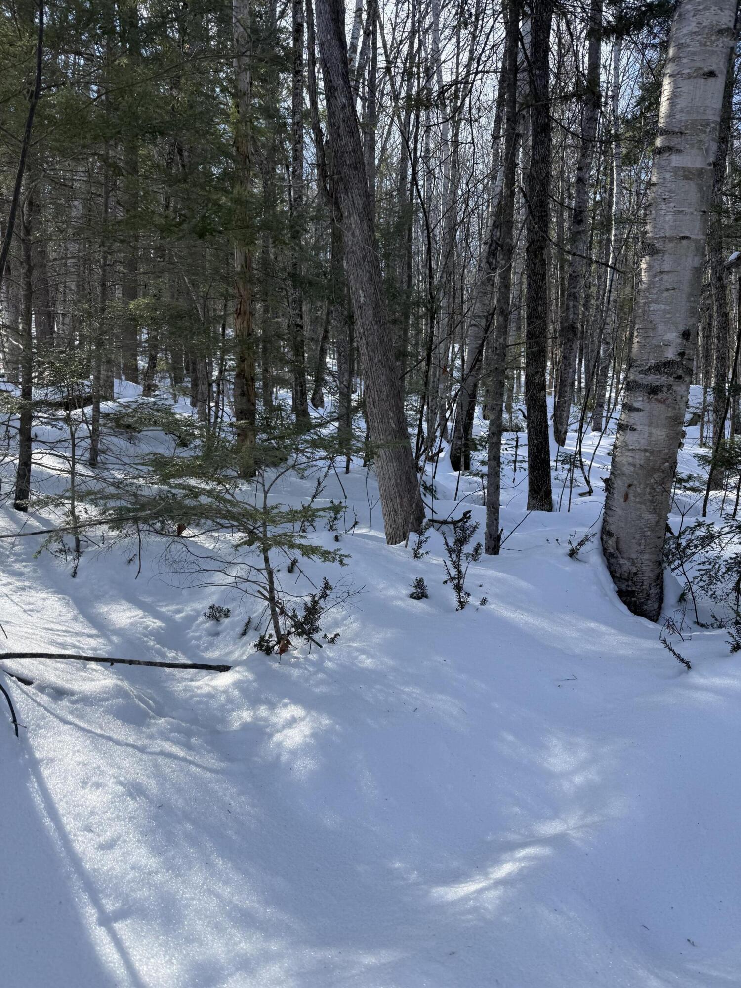 Tbd Great Moose Pond Drive Hartland ME 04943