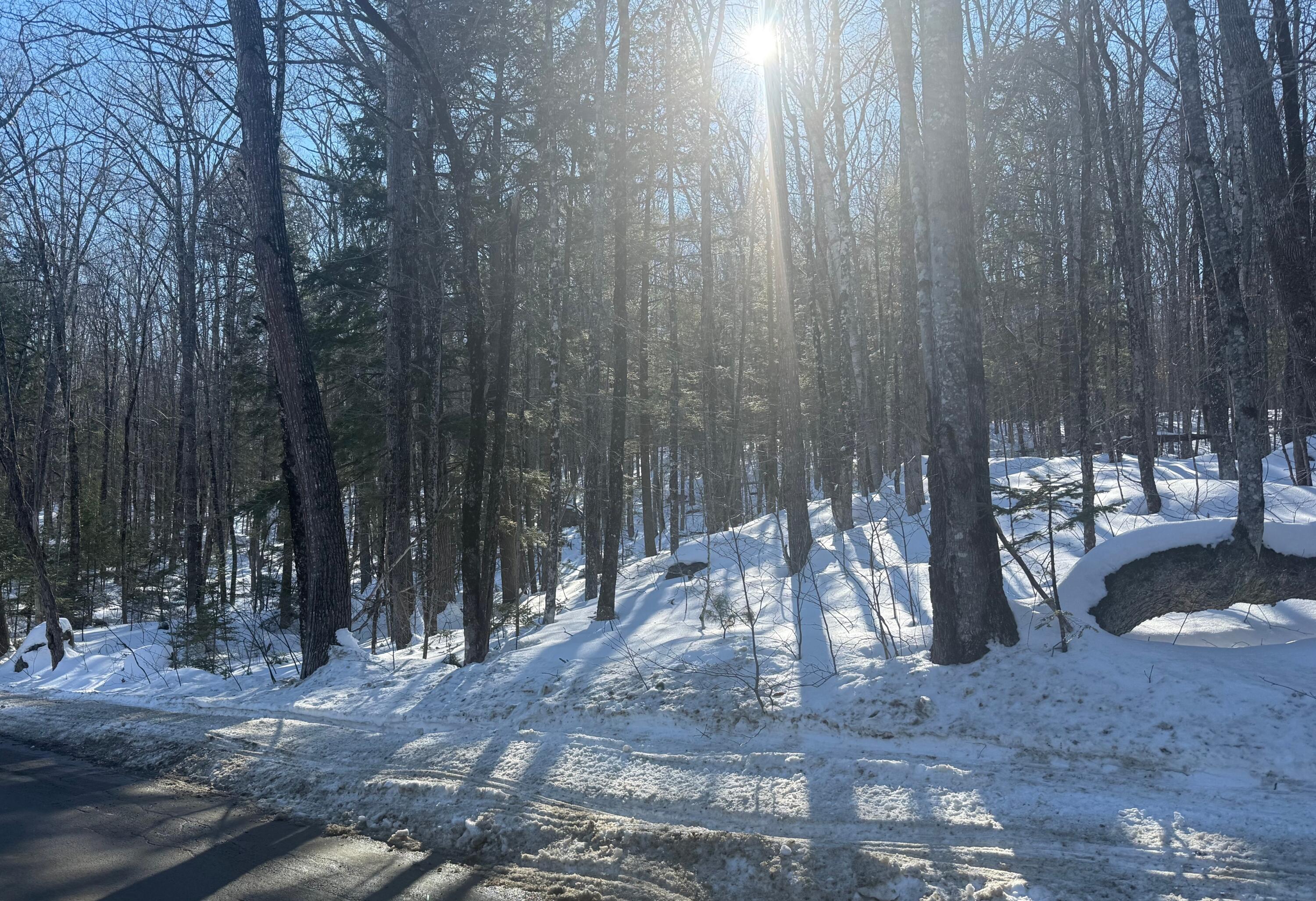 Tbd Great Moose Pond Drive Hartland ME 04943