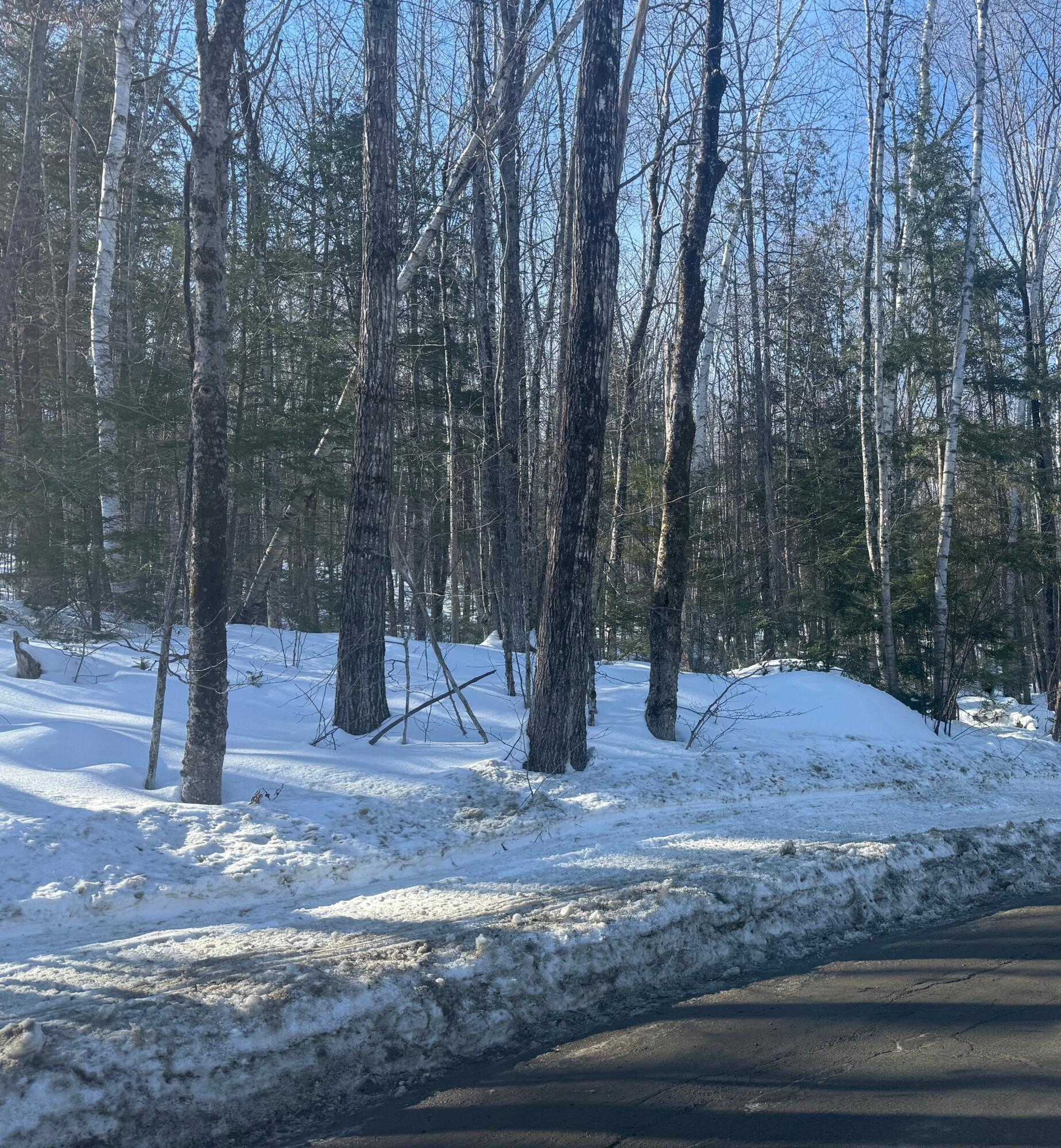 Tbd Great Moose Pond Drive Hartland ME 04943