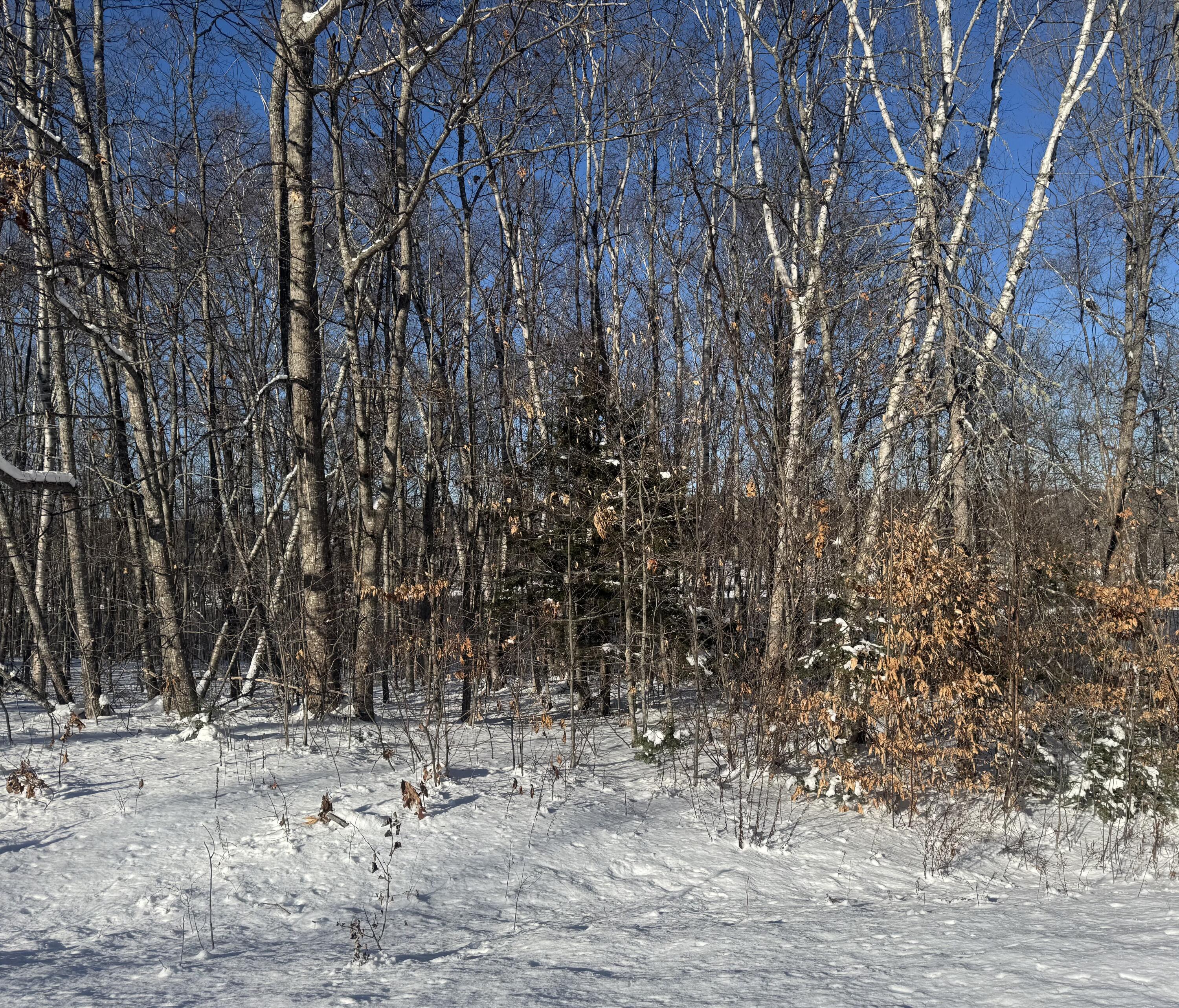 154 Us-2 Winn ME 04451