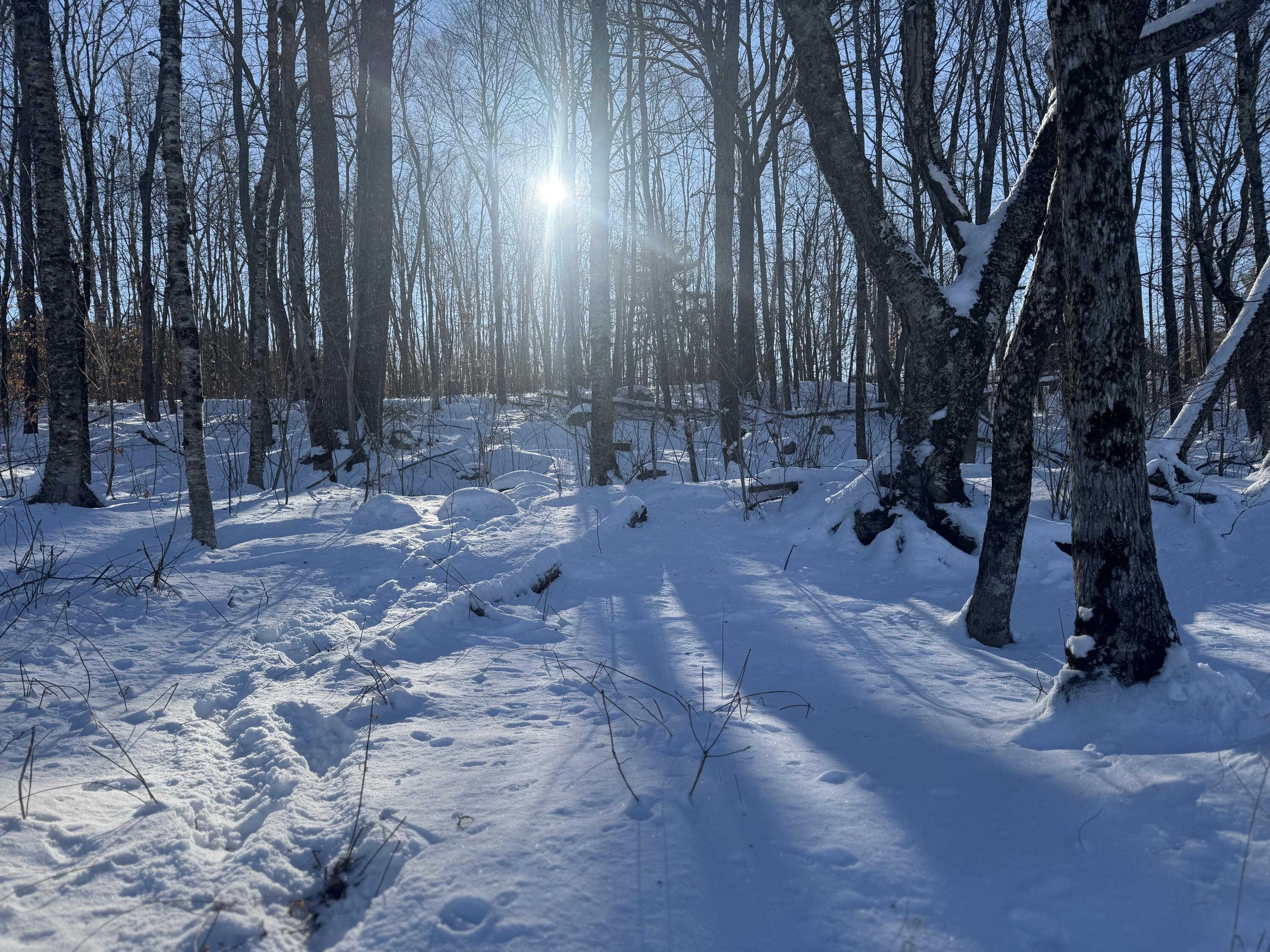 154 Us-2 Winn ME 04451