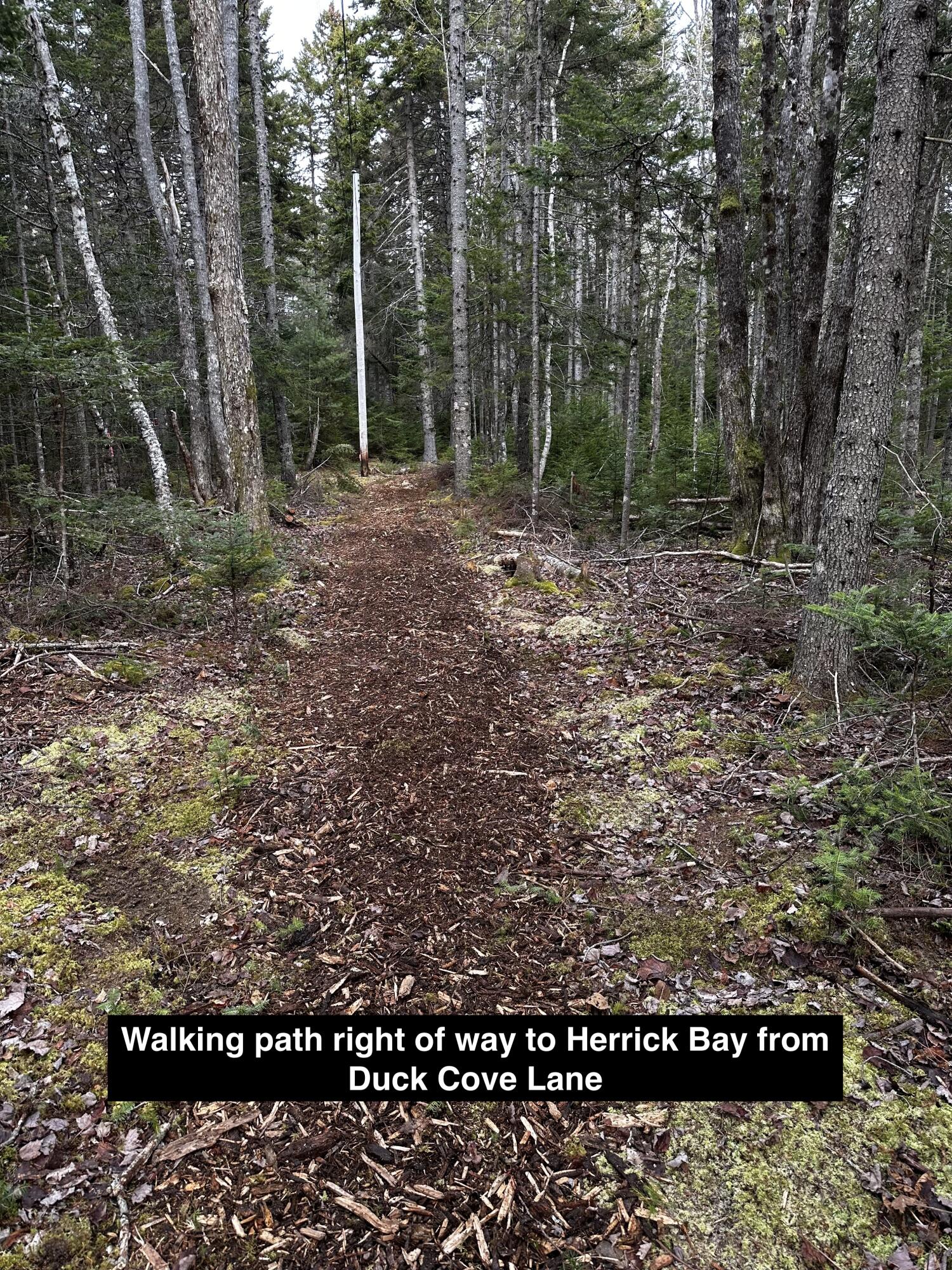 0 Flye Point Brooklin ME 04616