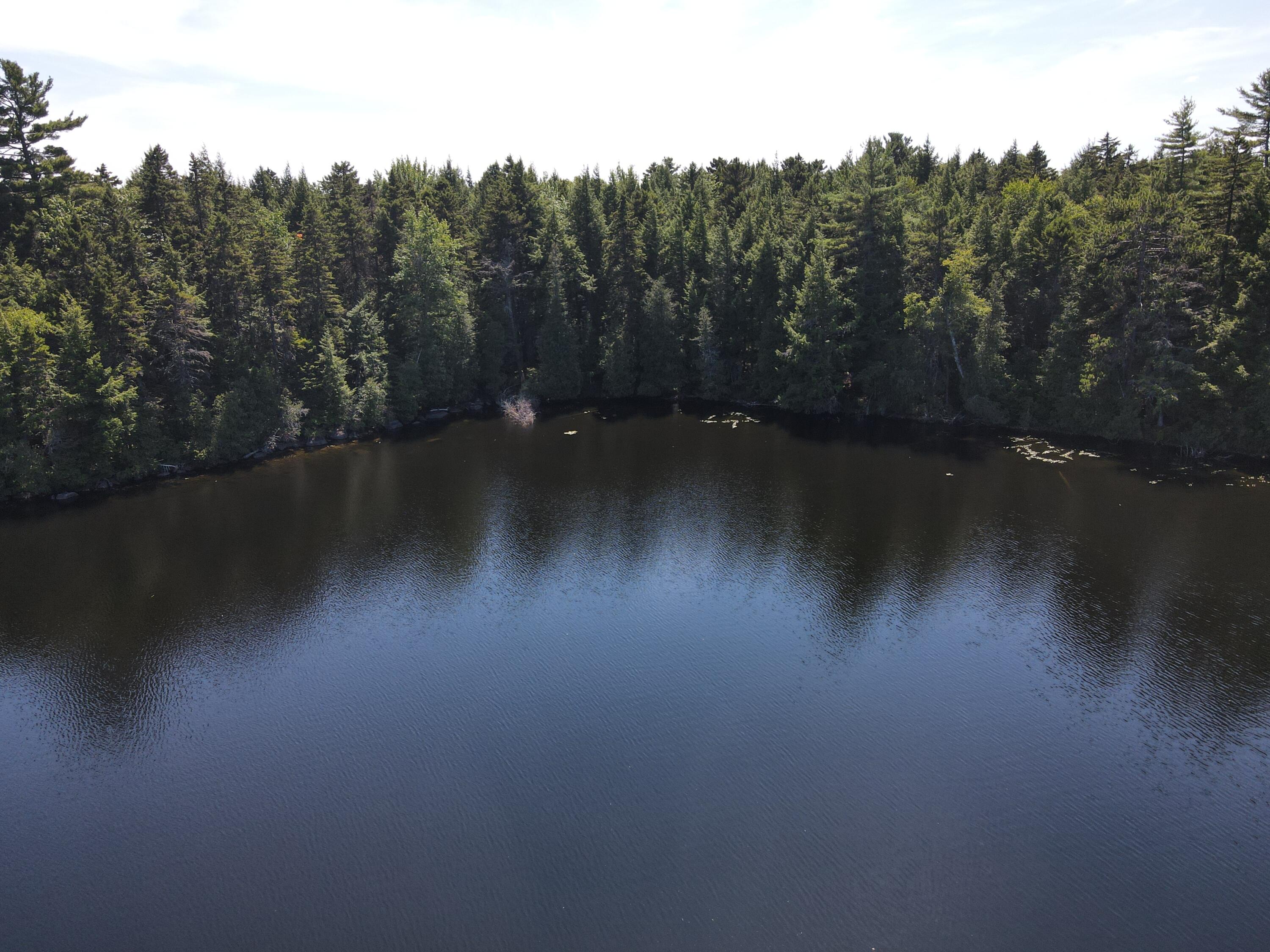 Tbd Depot Road Lakeville ME 04487