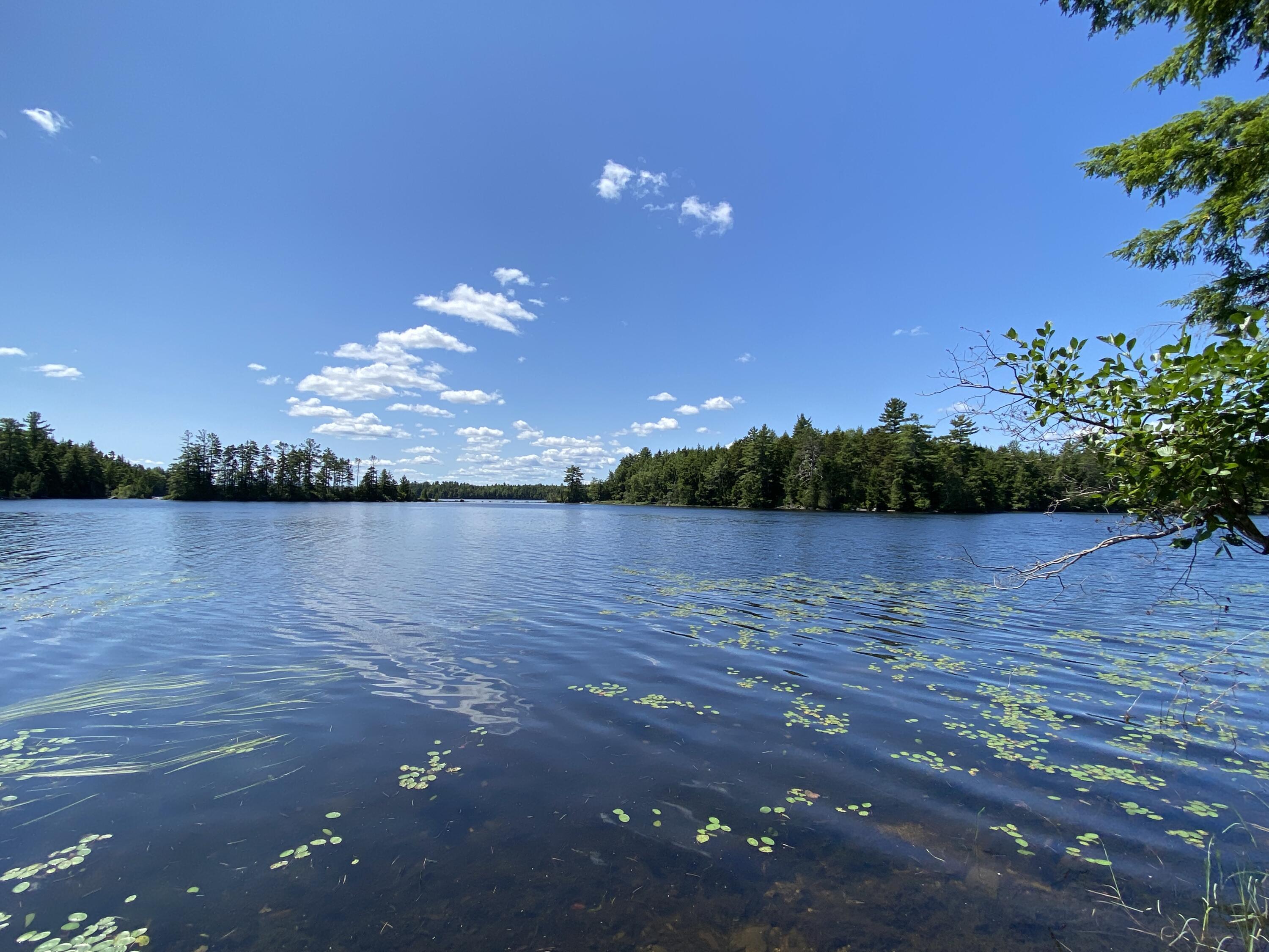 Tbd Depot Road Lakeville ME 04487