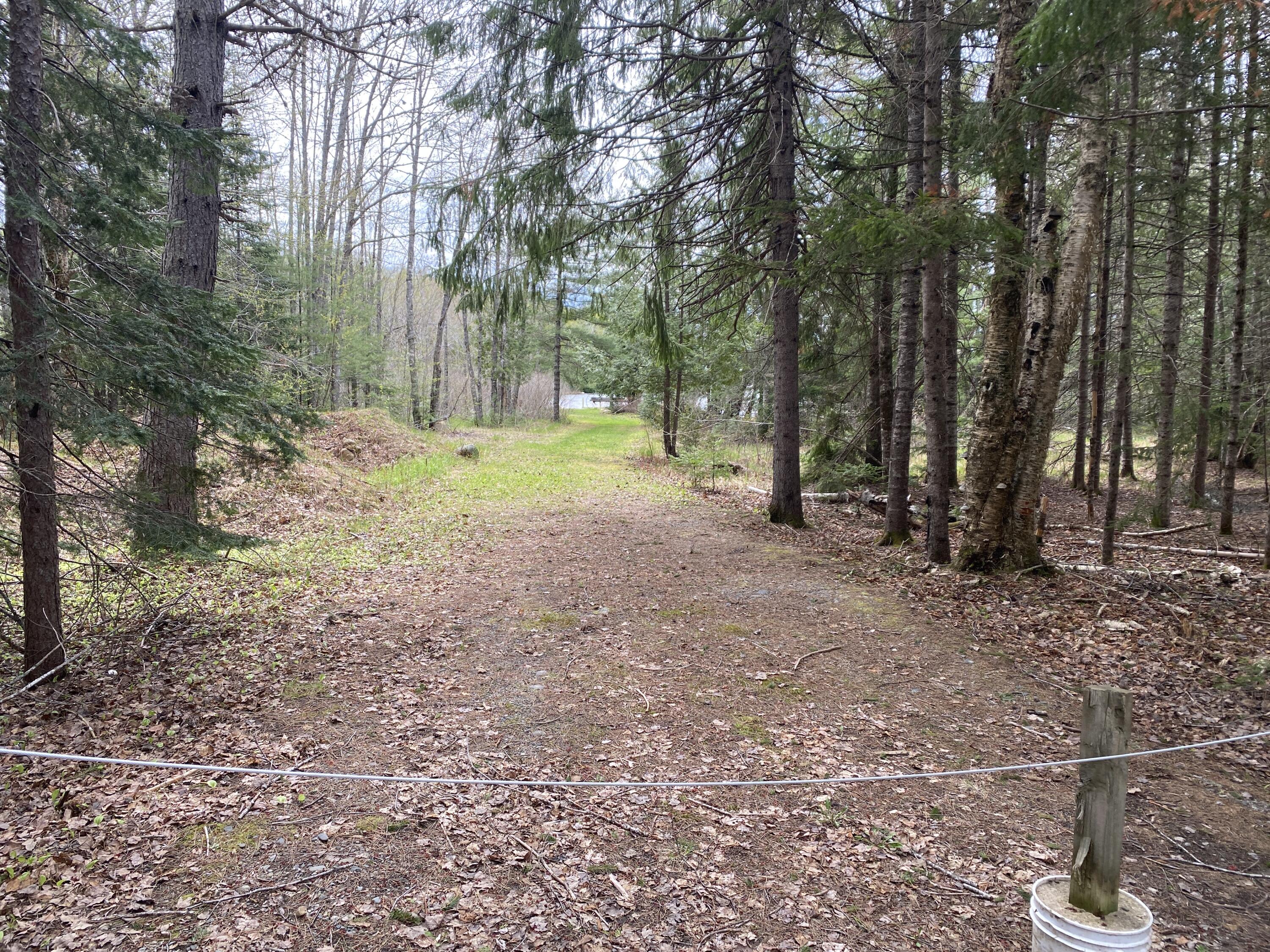 Tbd Depot Road Lakeville ME 04487