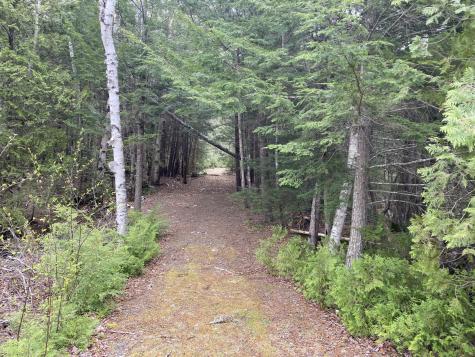 Tbd Depot Road Lakeville ME 04487