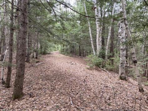Tbd Depot Road Lakeville ME 04487