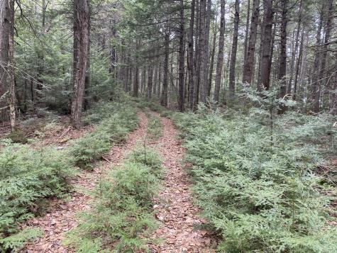 Tbd Depot Road Lakeville ME 04487