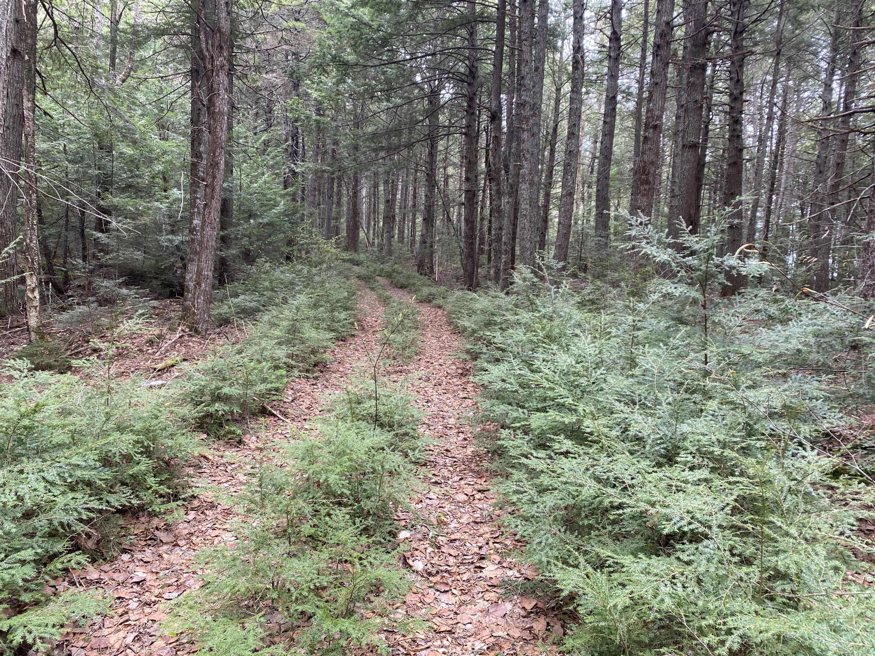 Tbd Depot Road Lakeville ME 04487