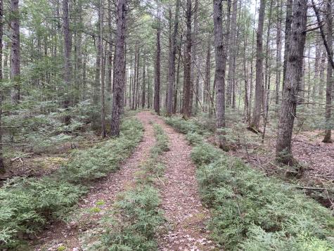 Tbd Depot Road Lakeville ME 04487