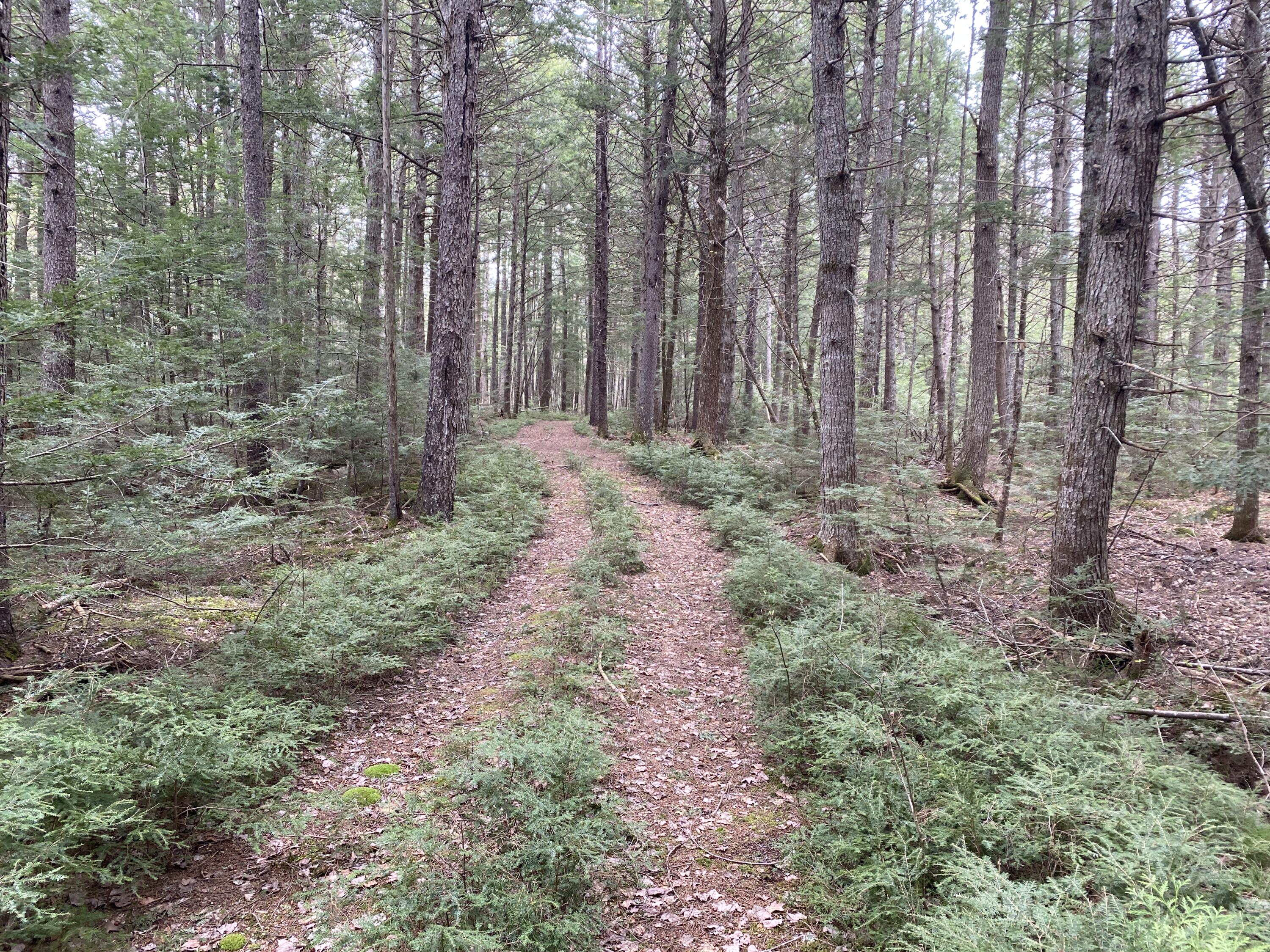 Tbd Depot Road Lakeville ME 04487