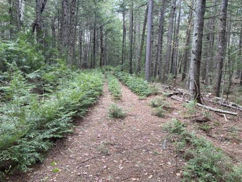 Tbd Depot Road Lakeville ME 04487