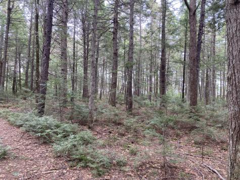 Tbd Depot Road Lakeville ME 04487