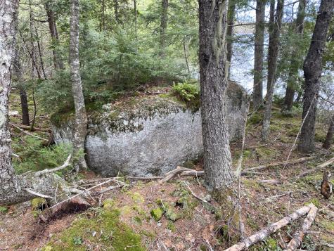 Tbd Depot Road Lakeville ME 04487