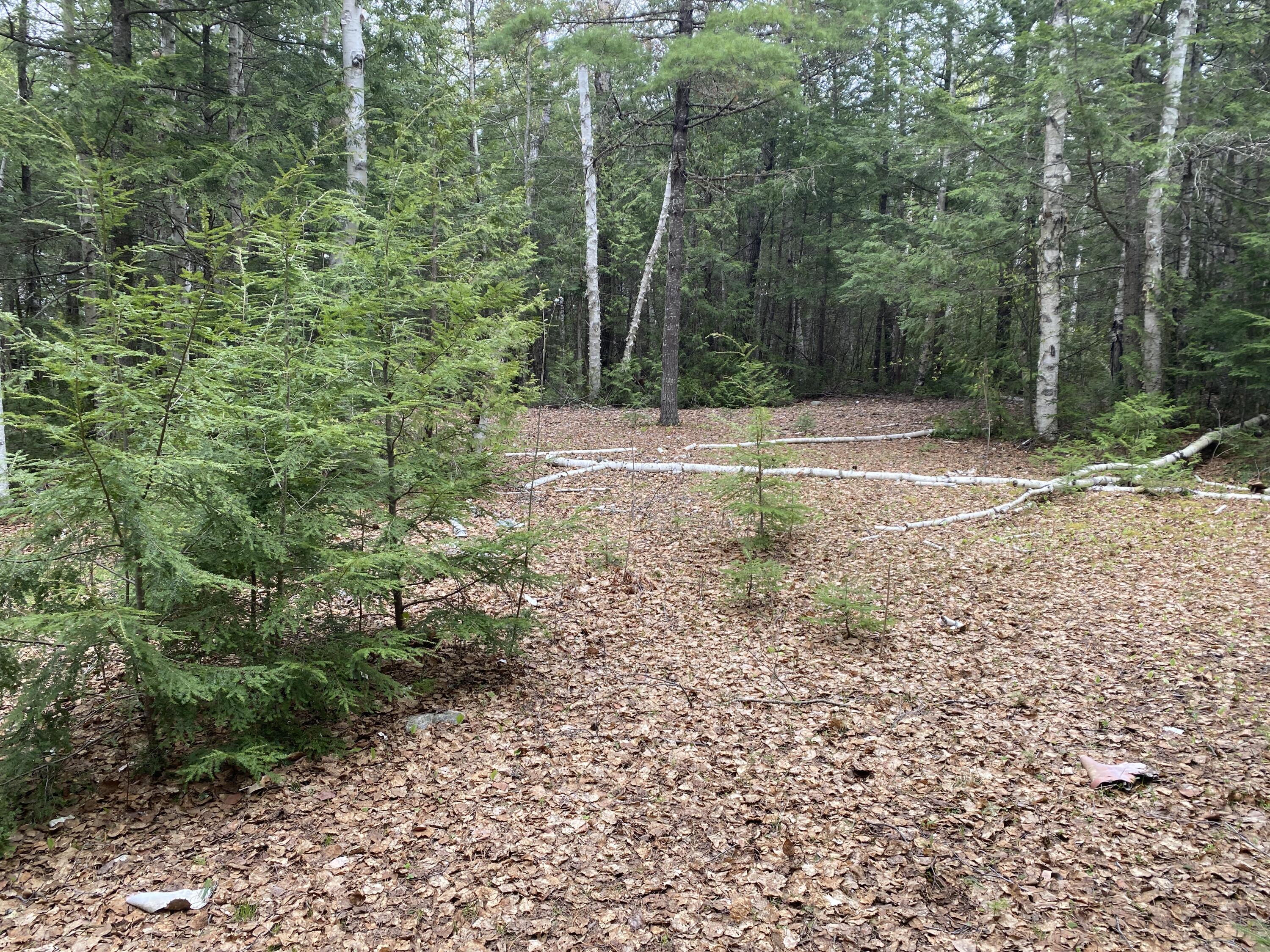 Tbd Depot Road Lakeville ME 04487