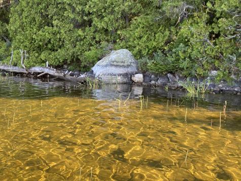 Tbd Depot Road Lakeville ME 04487