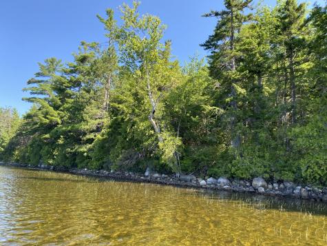 Tbd Depot Road Lakeville ME 04487