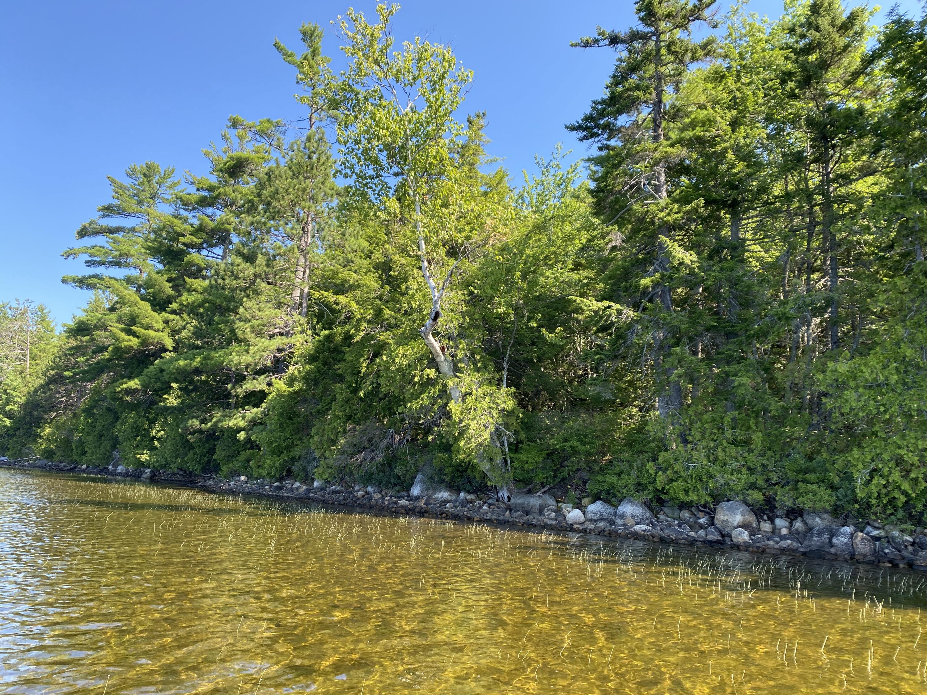 Tbd Depot Road Lakeville ME 04487