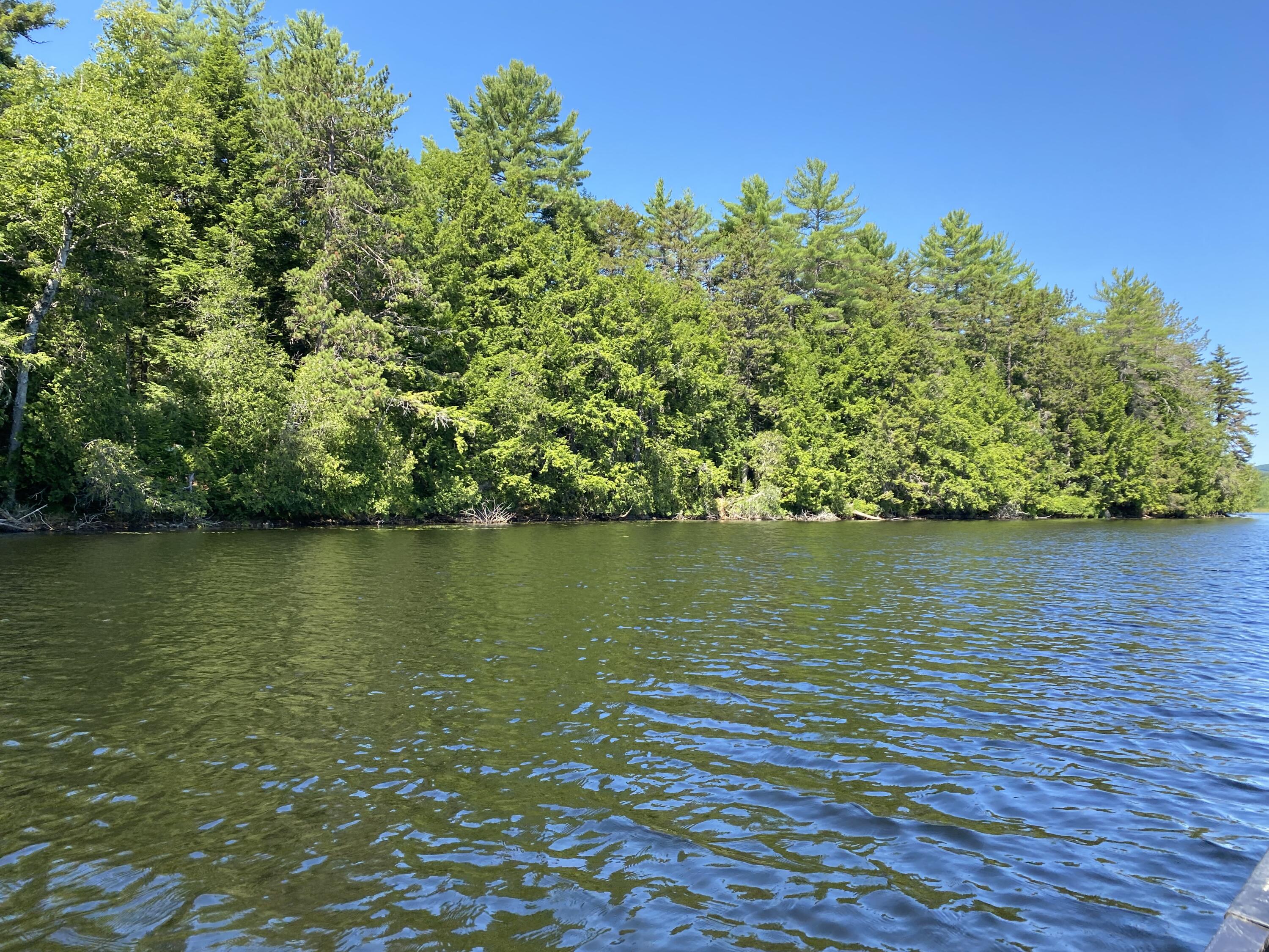 Tbd Depot Road Lakeville ME 04487
