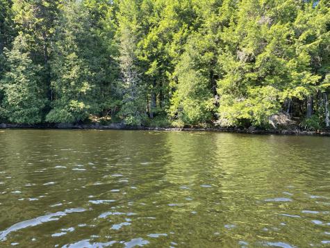 Tbd Depot Road Lakeville ME 04487