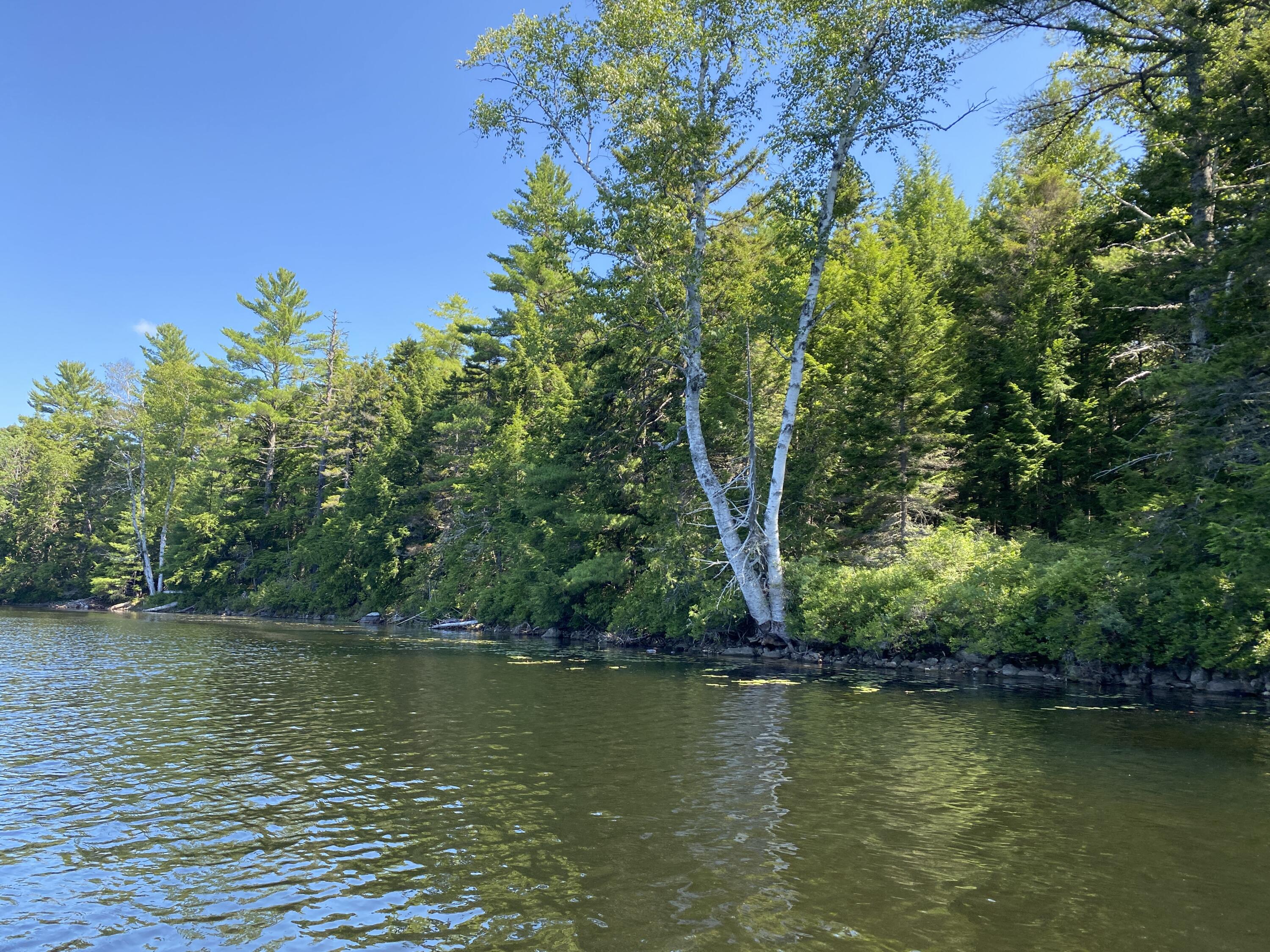 Tbd Depot Road Lakeville ME 04487