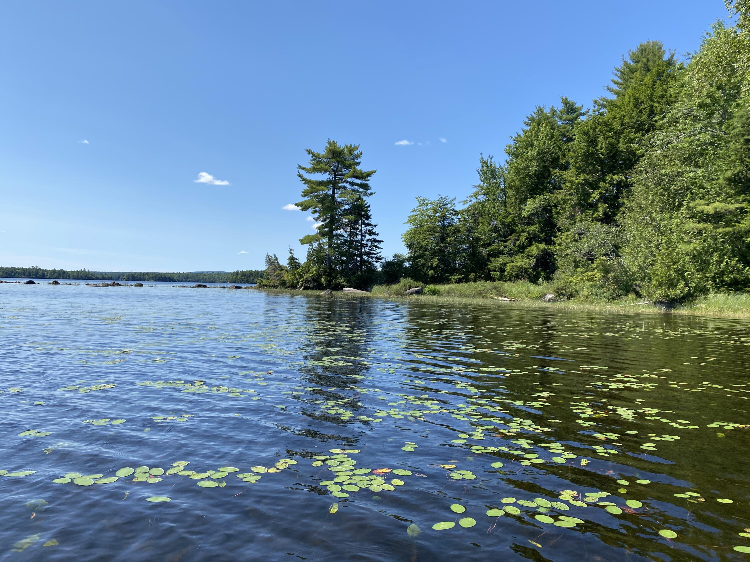 Tbd Depot Road Lakeville ME 04487