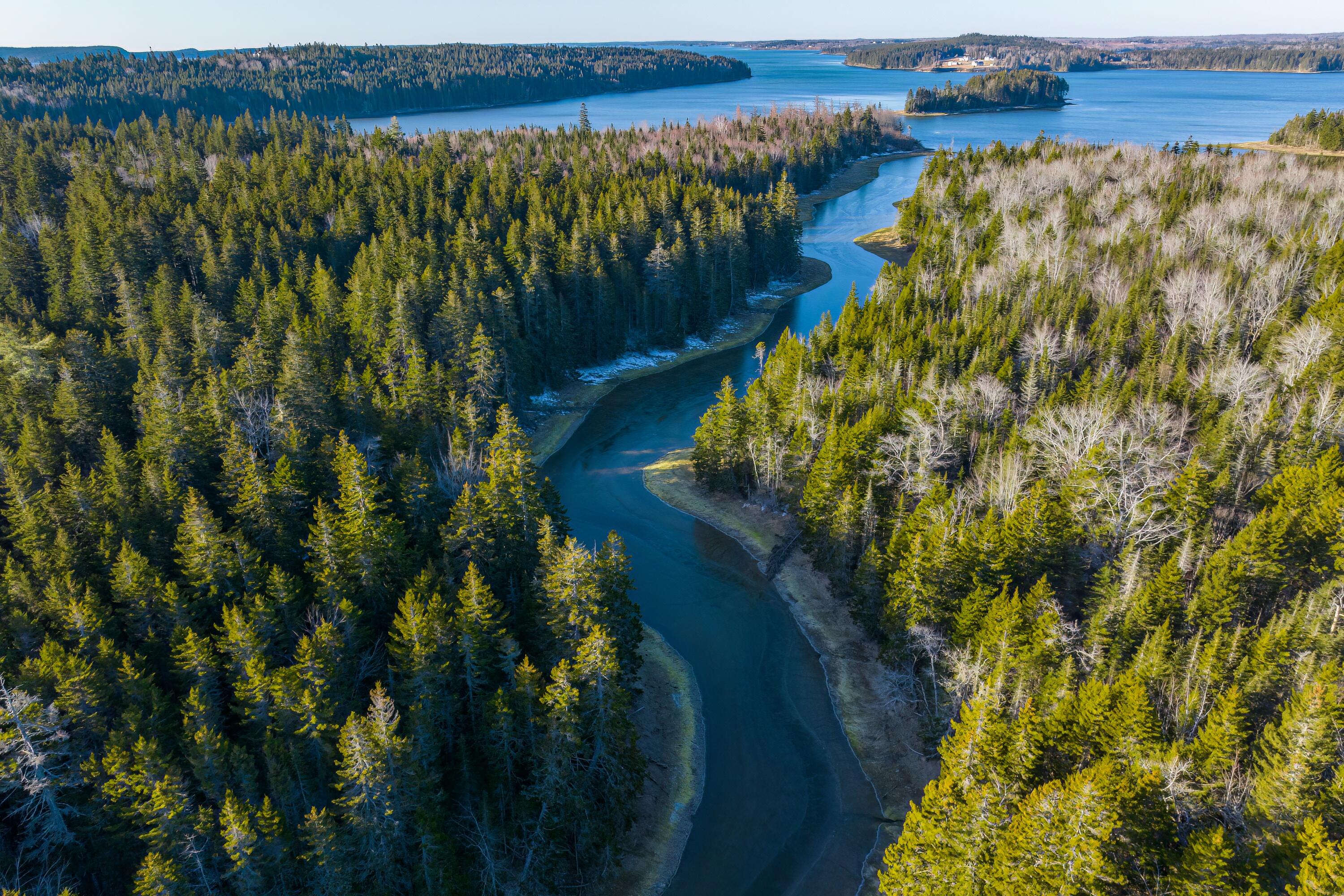 Lot 76-77 Nepp Point Road Roque Bluffs ME 04654