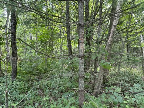 M40 L13-6 Mallard Road Madison ME 04950