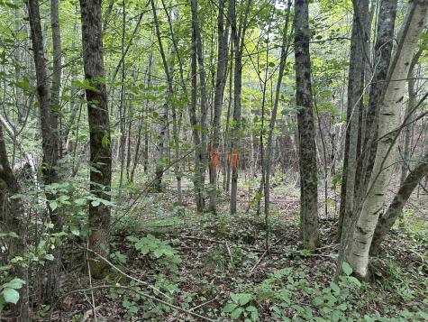 M40 L13-6 Mallard Road Madison ME 04950