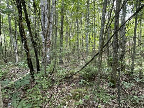 M40 L13-6 Mallard Road Madison ME 04950