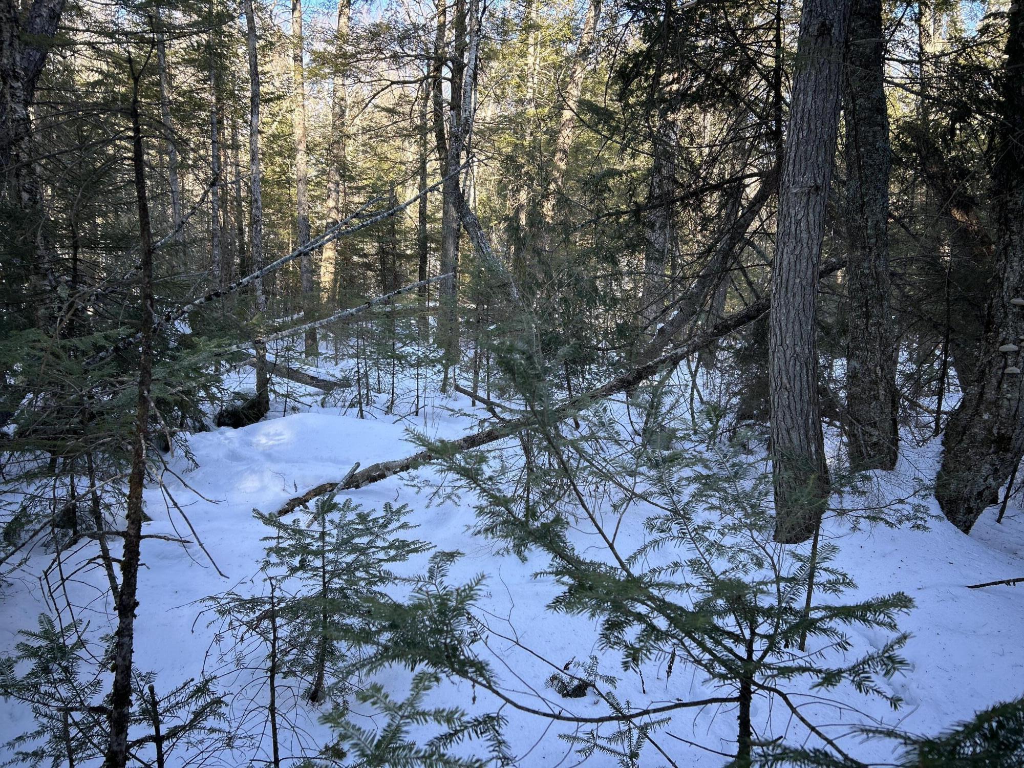 M7L31 Nelson Ridge Road N Washington ME 04574