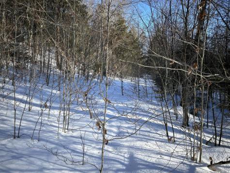 M7L31 Nelson Ridge Road N Washington ME 04574