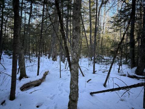 M7L31 Nelson Ridge Road N Washington ME 04574