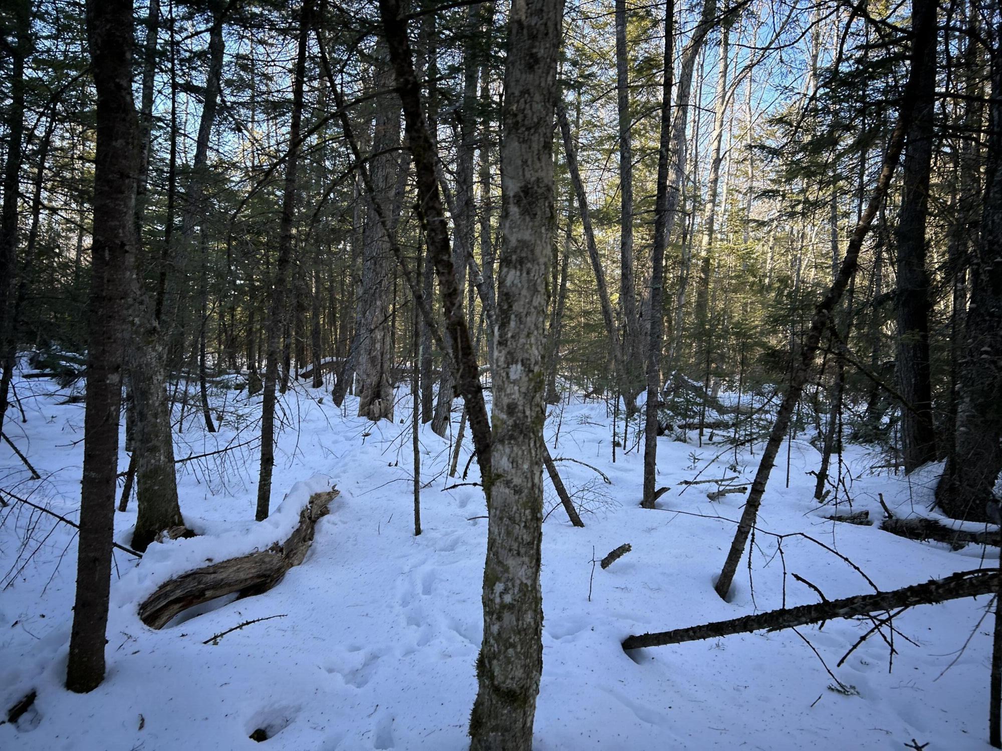 M7L31 Nelson Ridge Road N Washington ME 04574