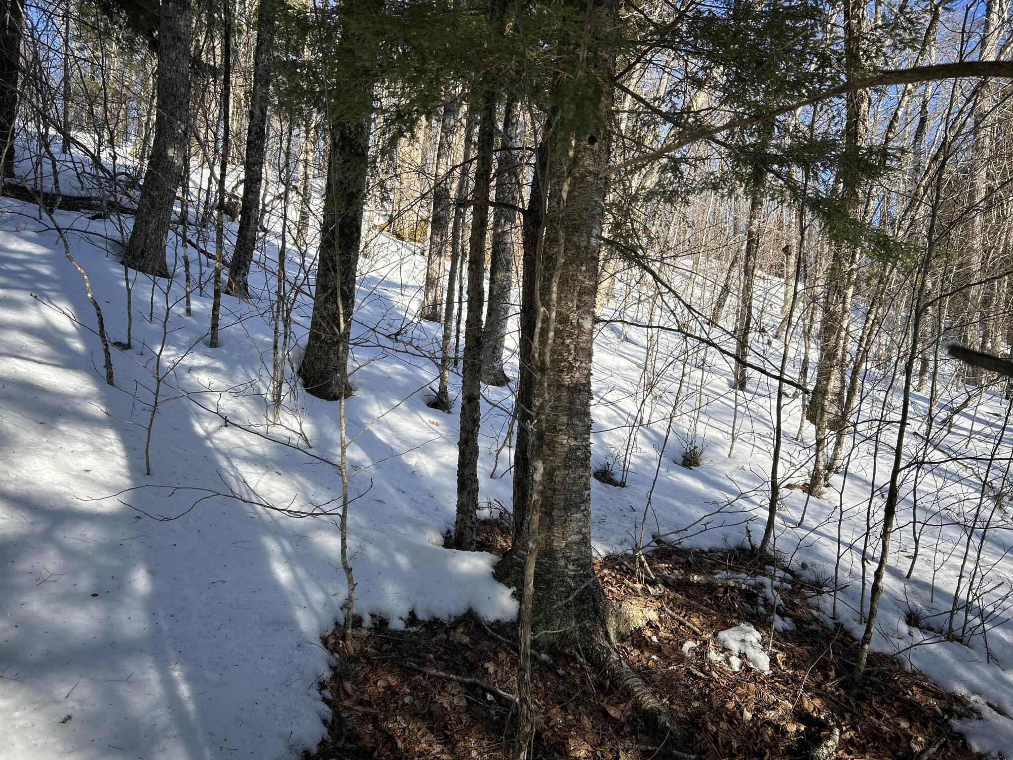 M7L31 Nelson Ridge Road N Washington ME 04574