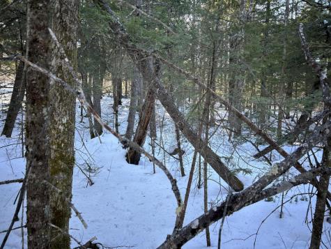M7L31 Nelson Ridge Road N Washington ME 04574