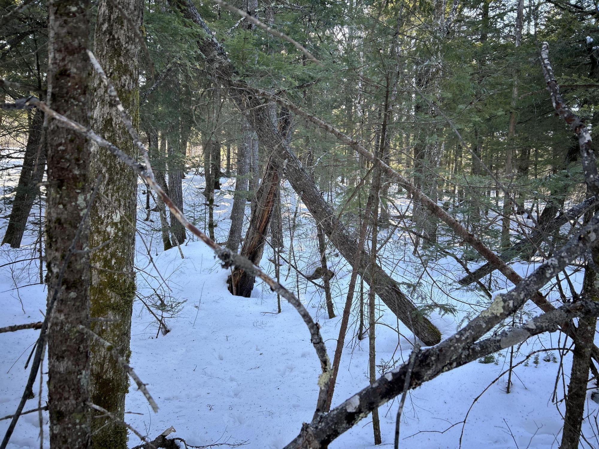 M7L31 Nelson Ridge Road N Washington ME 04574