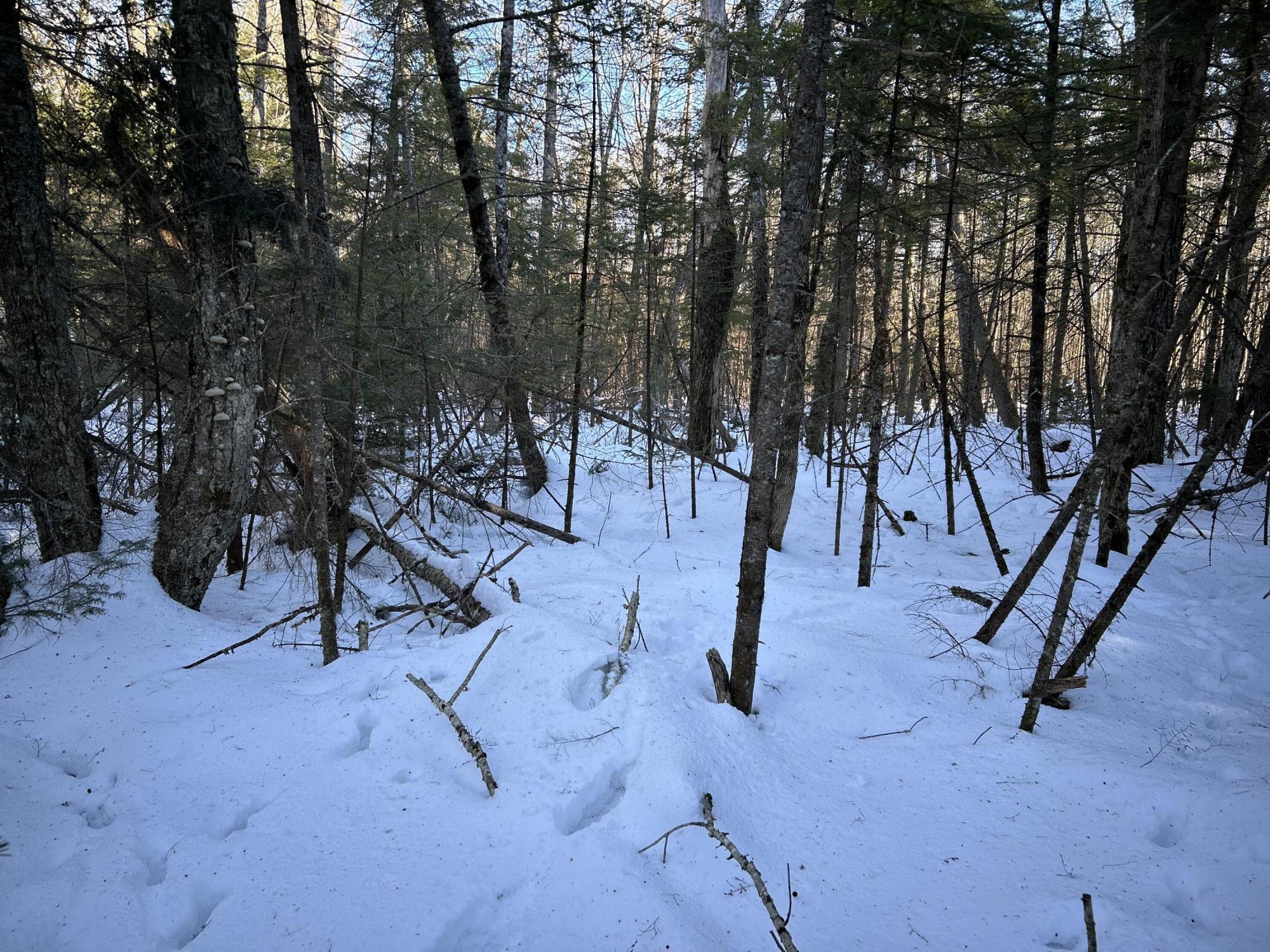 M7L31 Nelson Ridge Road N Washington ME 04574