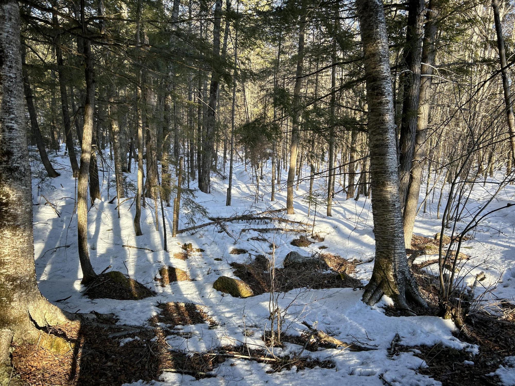 M7L31 Nelson Ridge Road N Washington ME 04574