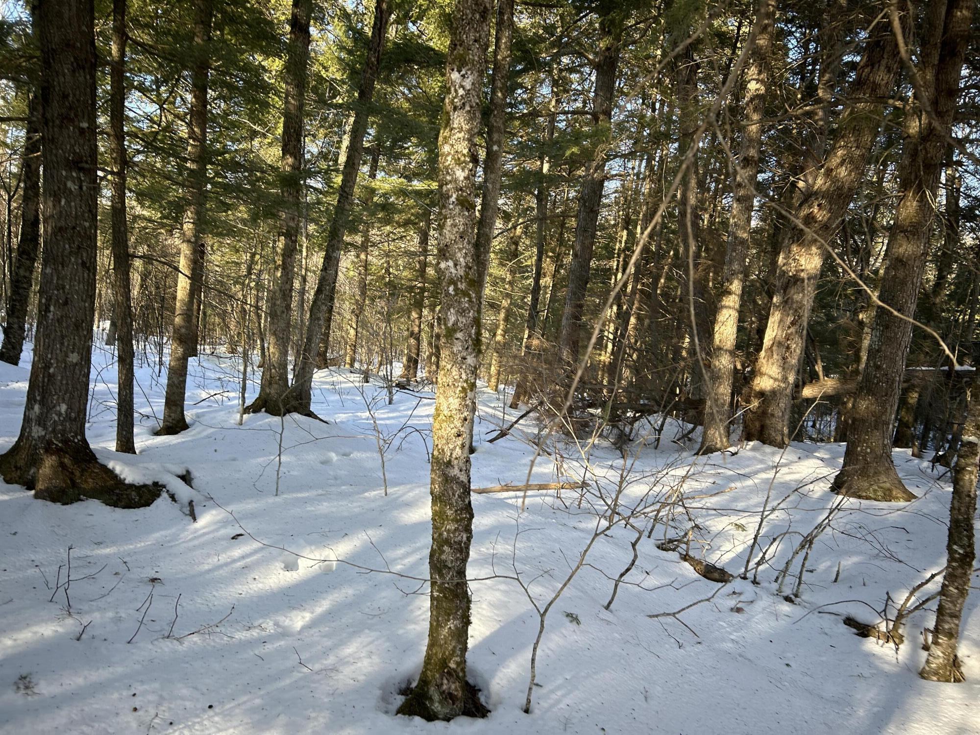 M7L31 Nelson Ridge Road N Washington ME 04574